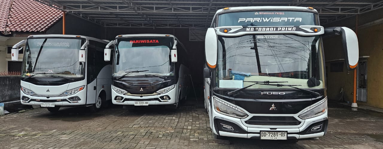 Bus Pariwisata